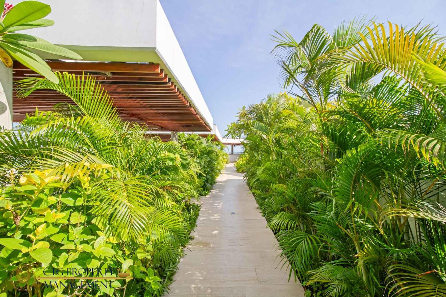Martinique Cartagena, Beautiful 1 & 2 Bedroom Apartments Buitenkant foto